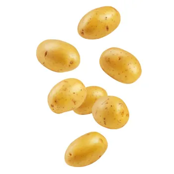 Potato (37)-577136-56351.webp